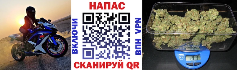 OMG как войти  Грязовец  Бошки марихуана план 